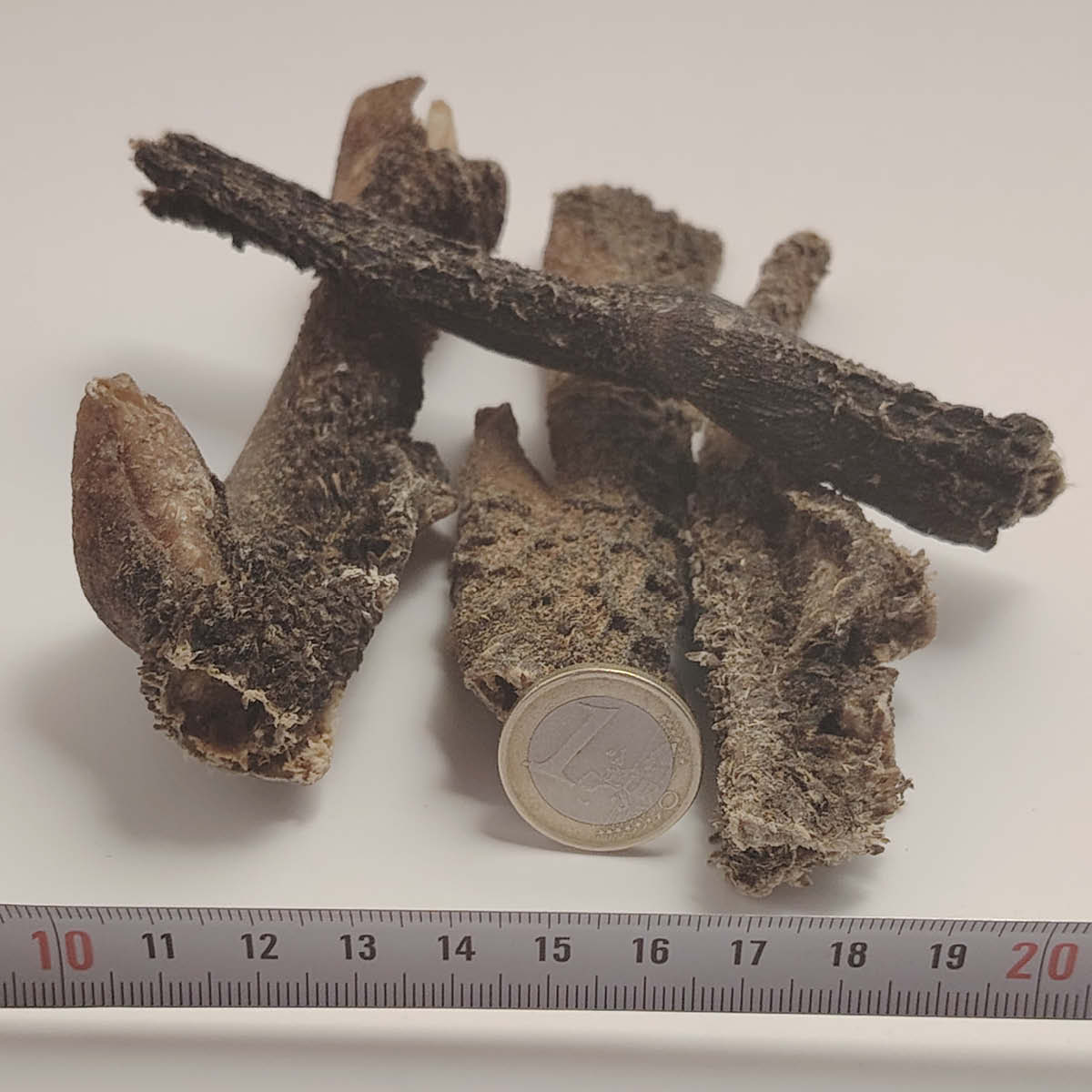 Tripe de bœuf Tripe de bœuf