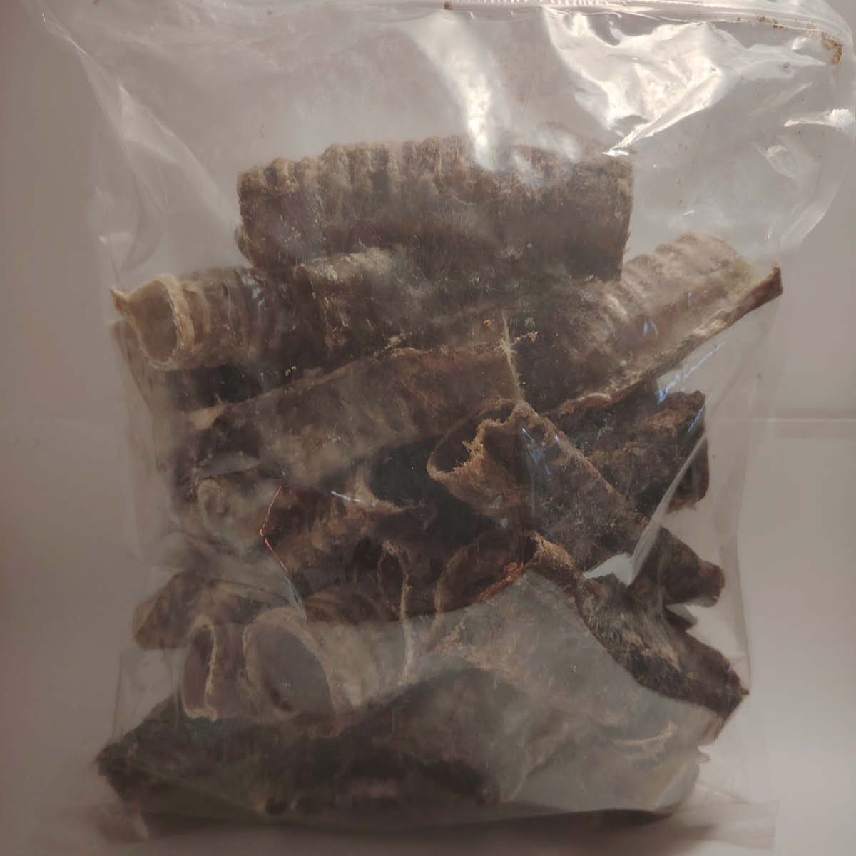 Trachée de bœuf Trachée de bœuf