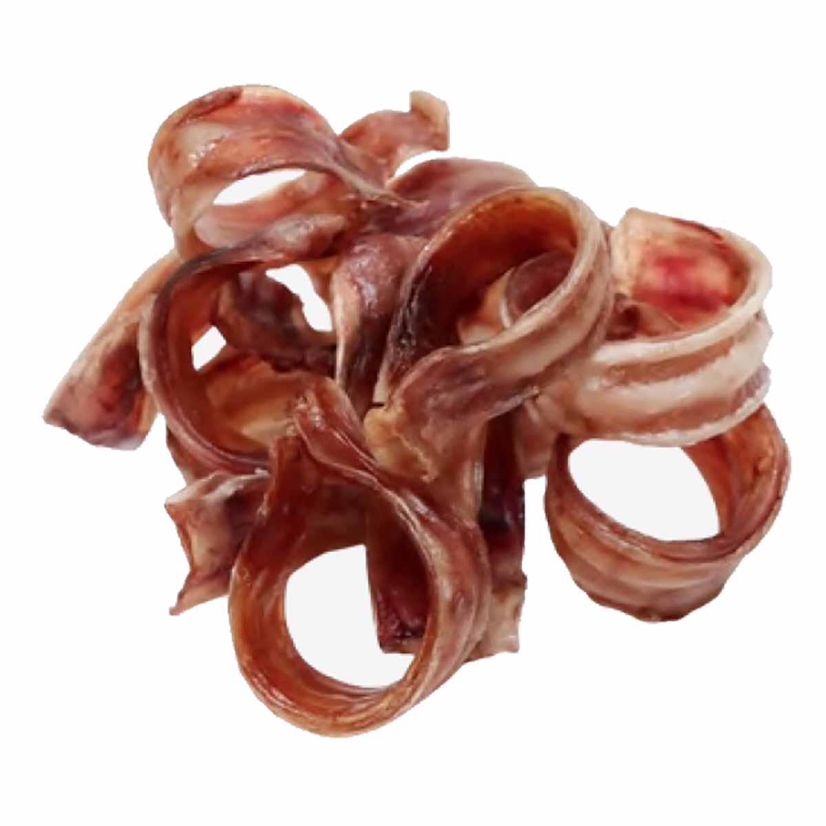 Anneau de trachée de bœuf