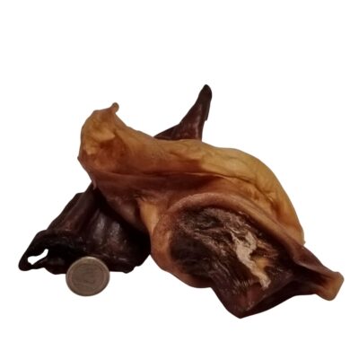 Oreilles de bœuf sans poils