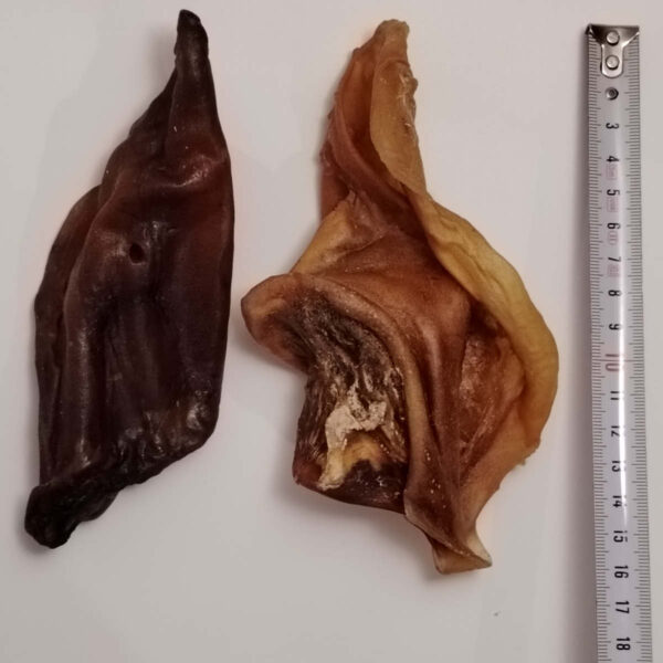 Oreilles de bœuf sans poils
