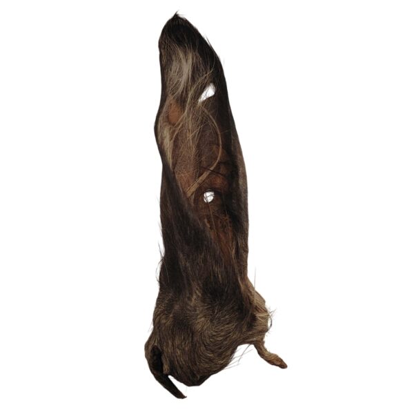 Oreilles de bœuf poilue