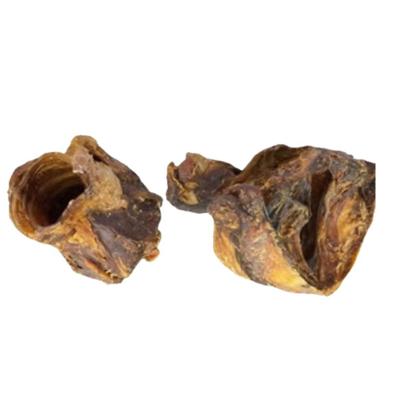 Larynx de Bœuf