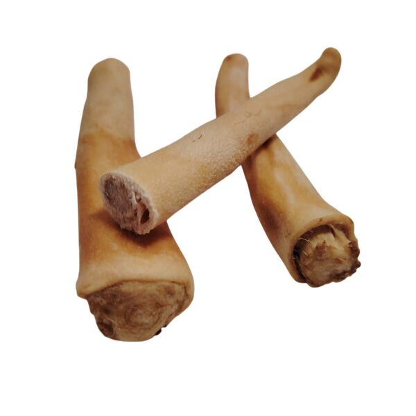 Queue de bœuf