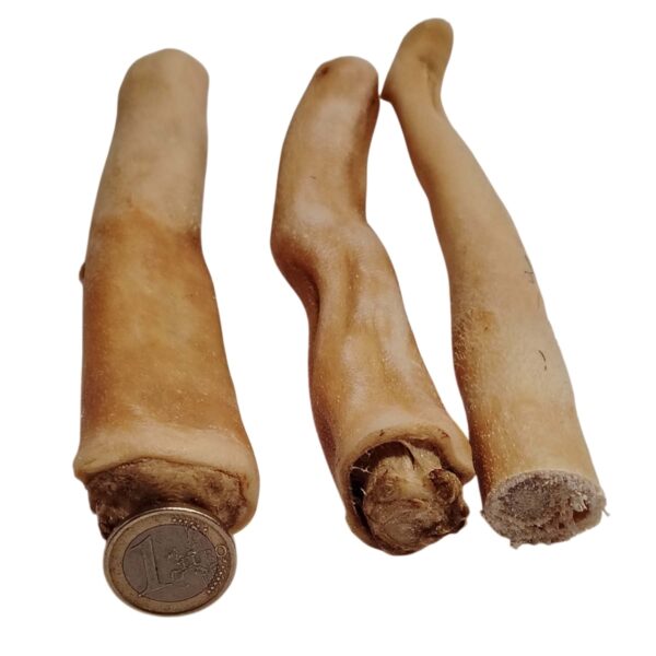 Queue de bœuf