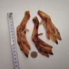 Pattes de canard