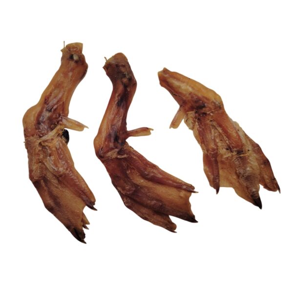 Pattes de canard