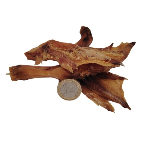 Pattes de canard
