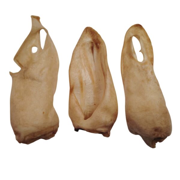 Oreilles de chèvre