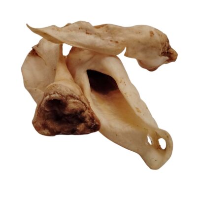 Oreilles d'agneau sans poils