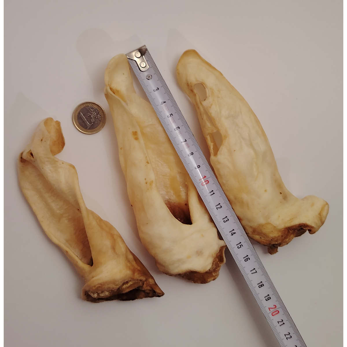 Oreilles d'agneau sans poils