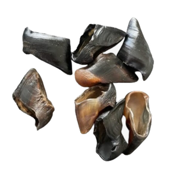Sabot d’agneau