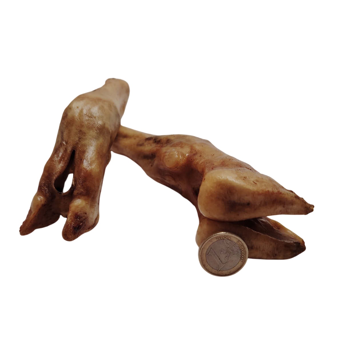 Pied d'agneau Pied d'agneau