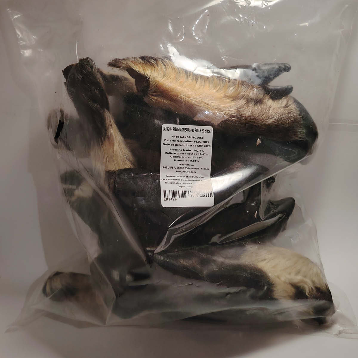 Pied d'agneau poilu Pied d'agneau poilu