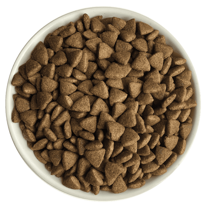 Bol de croquettes sans Céréales au Saumon, Corégone et Hareng