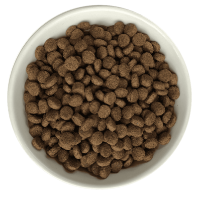 Bol de croquettes sans Céréales au Poulet, Canard et Saumon