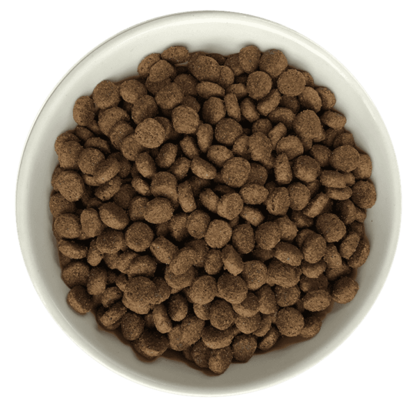 Bol de croquettes sans Céréales au Poulet, Canard et Saumon