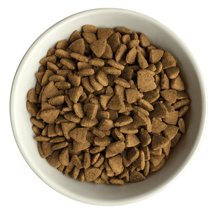 Riverwood Croquettes sans Céréales pour Chat Adulte au Renne, Canard, Sanglier 6 kg Bol de croquettes sans Céréales au Renne, Canard et Sanglier