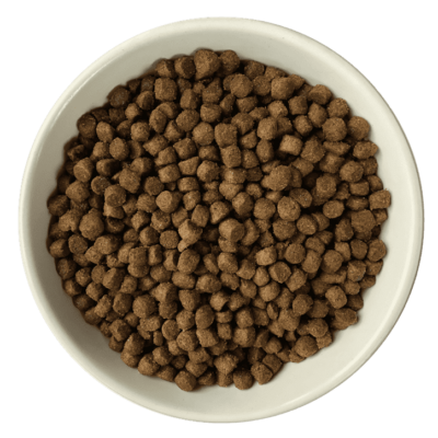 Bol de croquettes sans céréales au poulet, canard et saumon