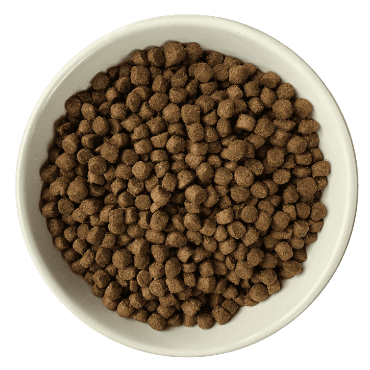 Bol de croquettes sans céréales au poulet, canard et saumon