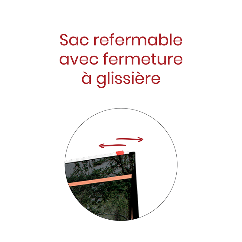 Zipper-Chien-Adulte-Grande-Race