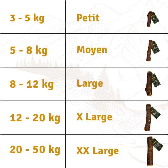 Guide ChewStick Olive