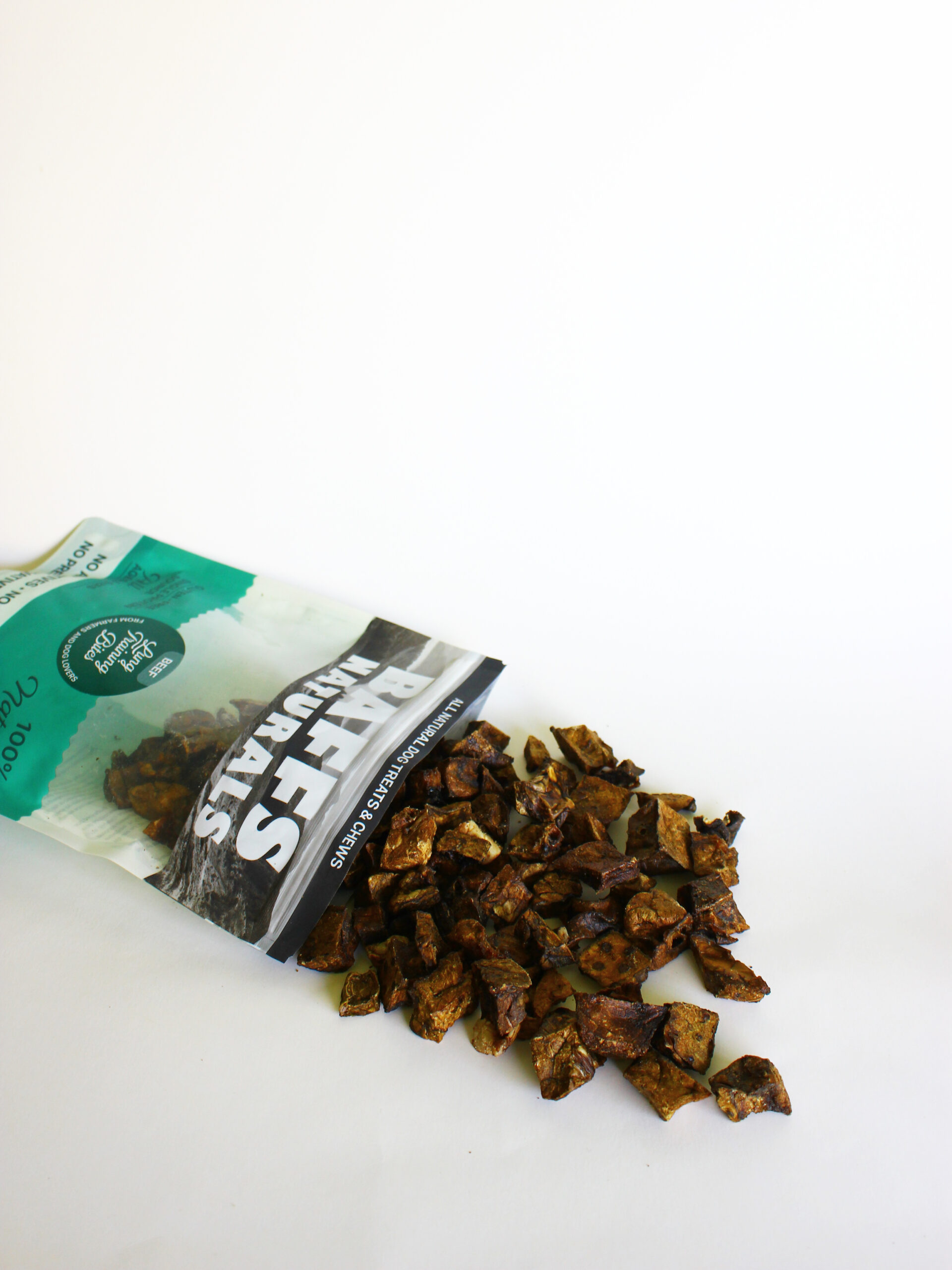 BNBE08 - Cubes Educative Poumon de Bœuf (2)