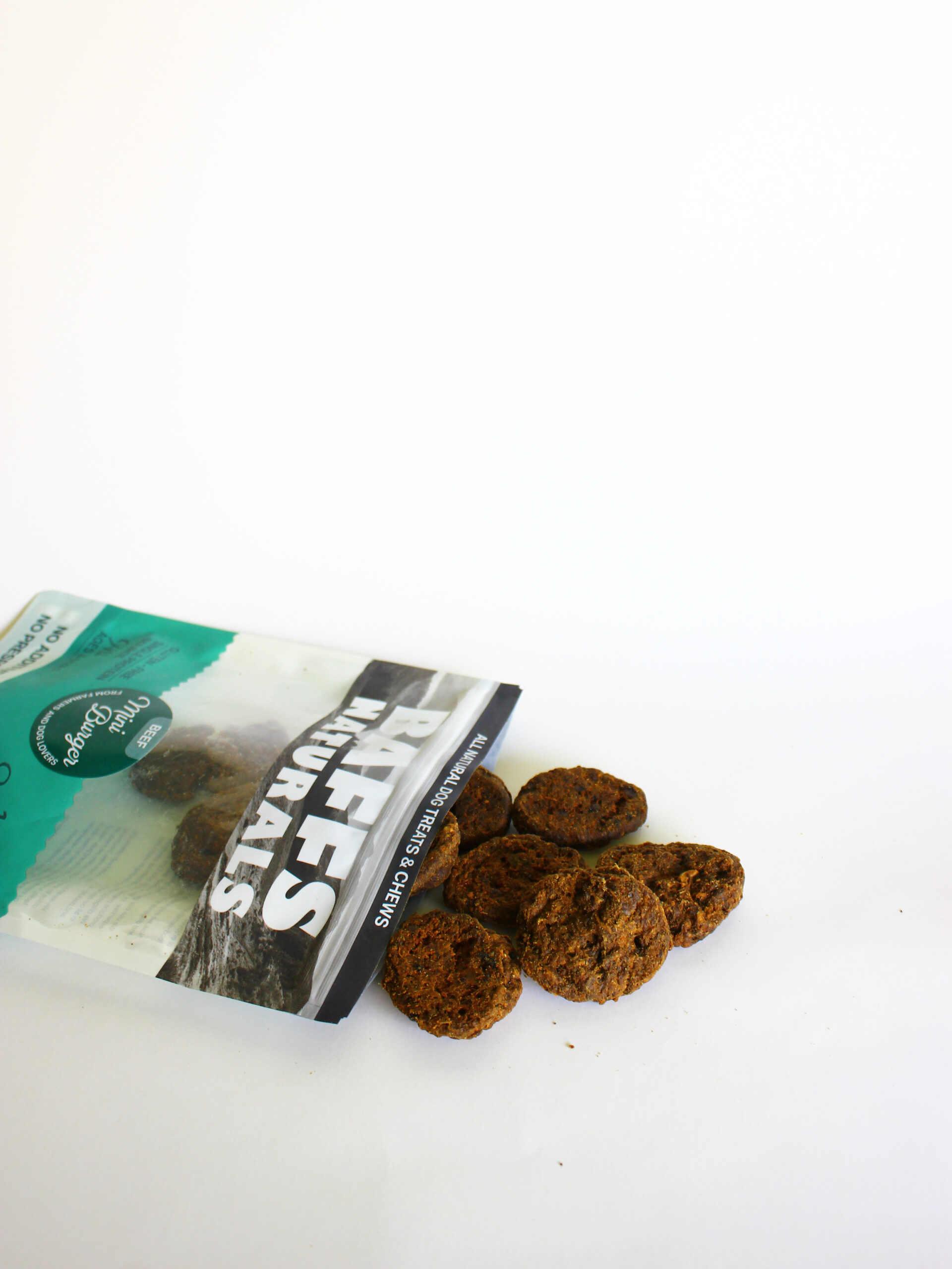 BNBE09 - Bœuf Mini Burgers (2)