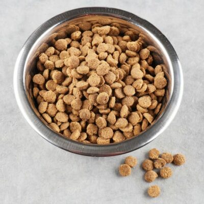 Croquettes Sans Gluten