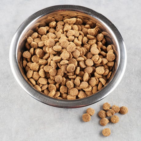 Croquettes Sans Gluten