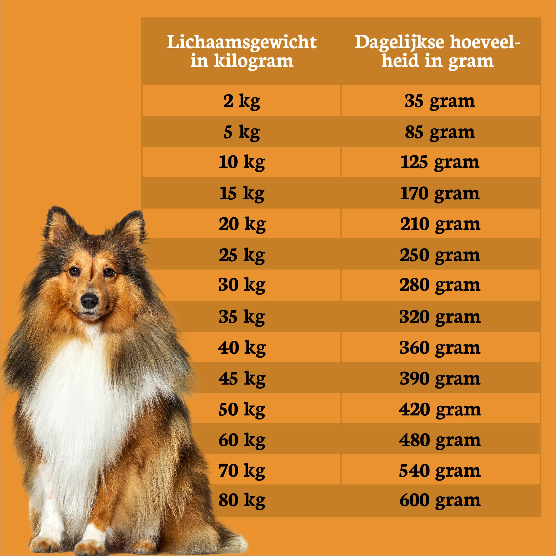 Riverwood-Adult-Salmon