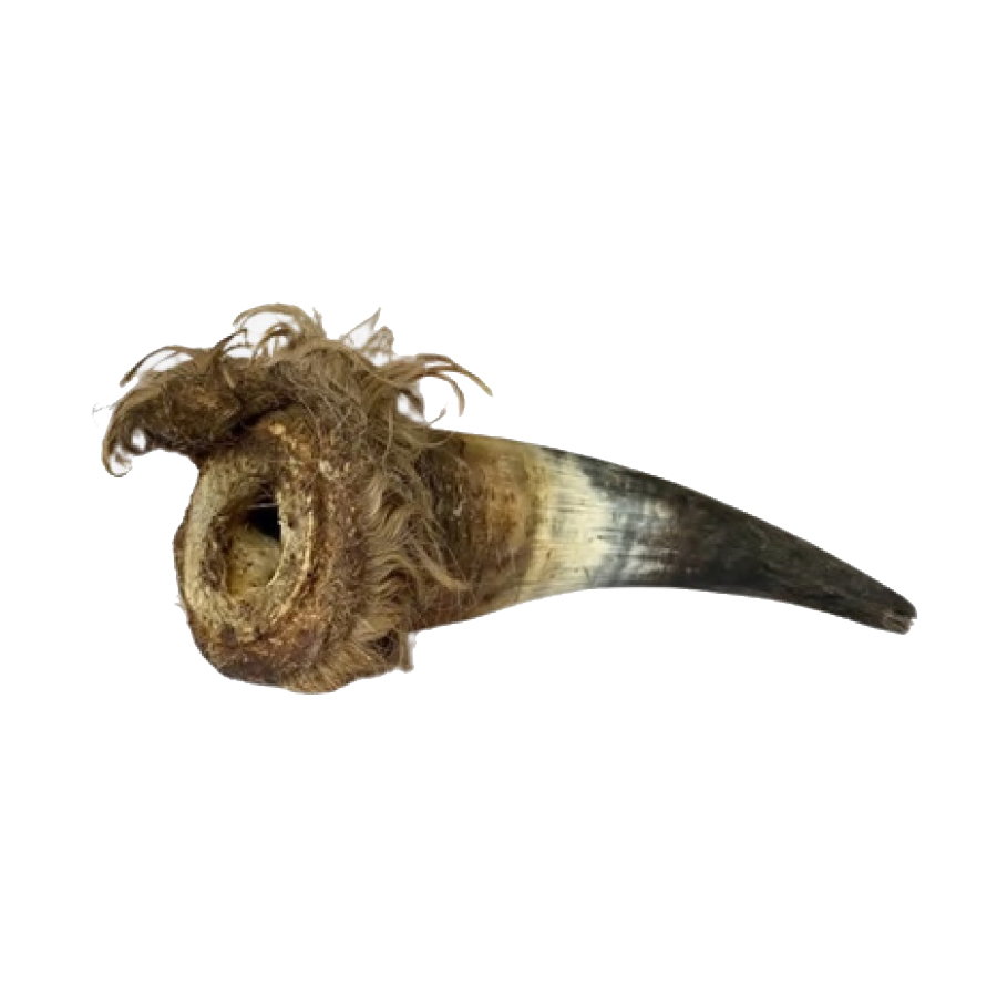 Corne de Bœuf