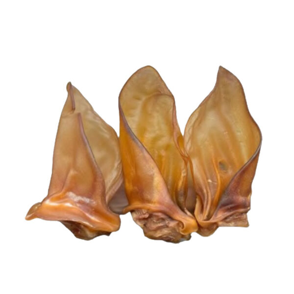 Oreilles de Bœuf sans Poils