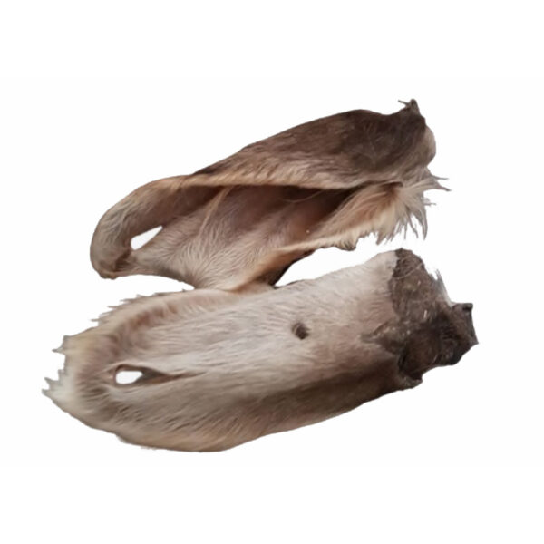 Oreilles de Bœuf avec Poils