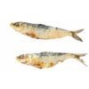 Sardine Séchée