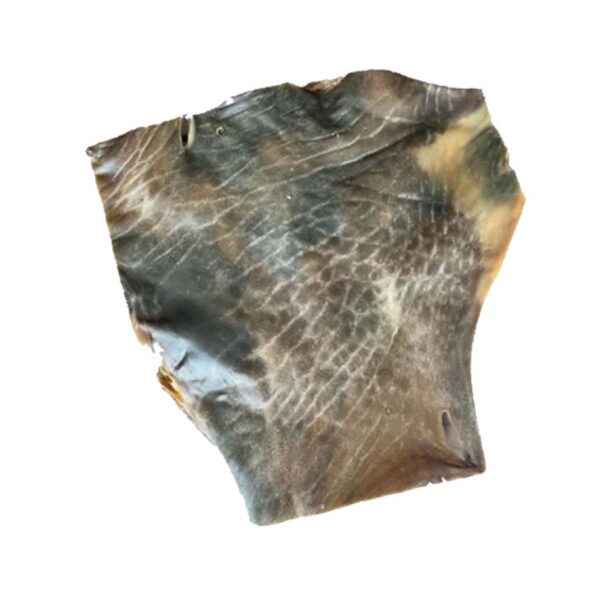 Peau de chameau