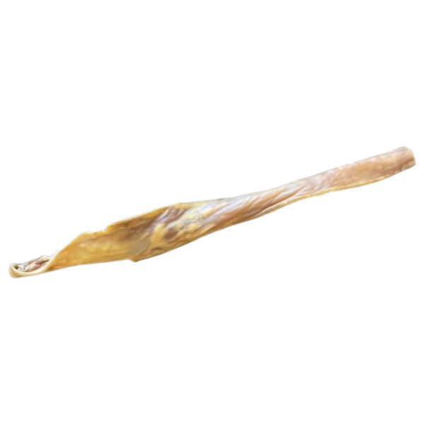 Peau de Tête de Bœuf Naturelle 75cm