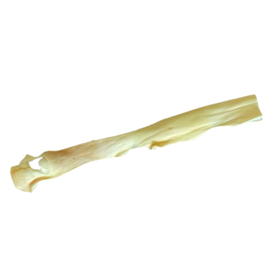 Peau de Tête de Bœuf Blanche 75cm