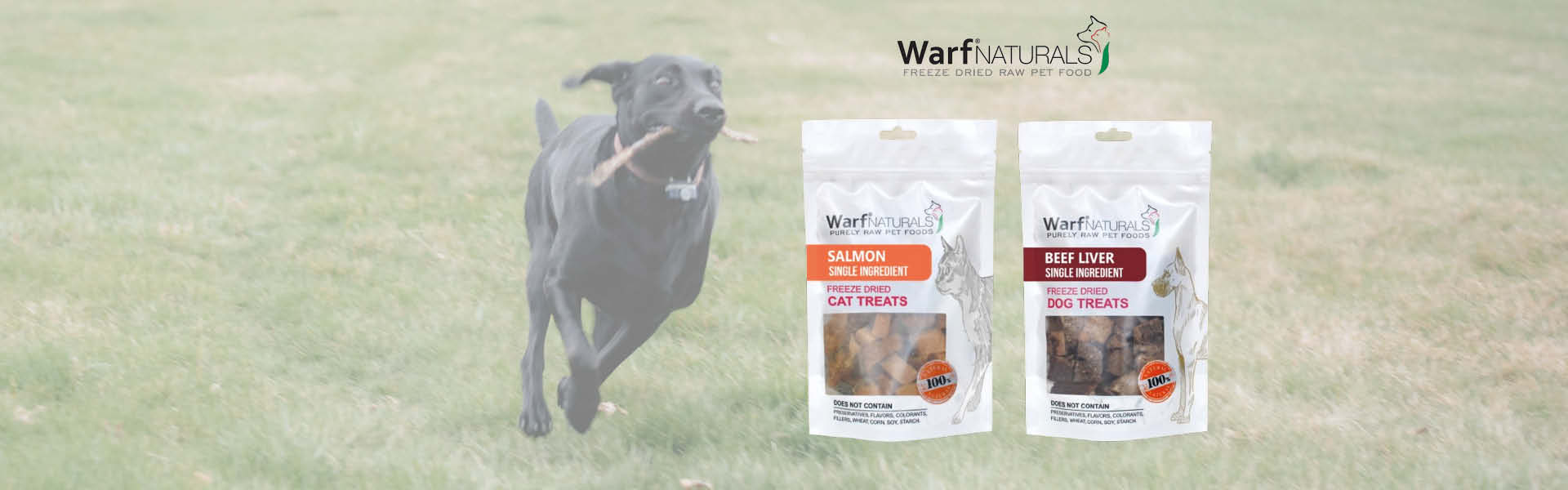 Friandise Lyophilisée