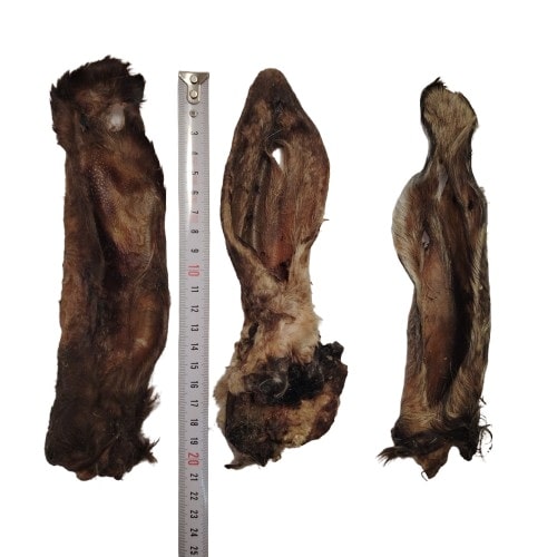 Oreille de chèvre Oreille de chèvre