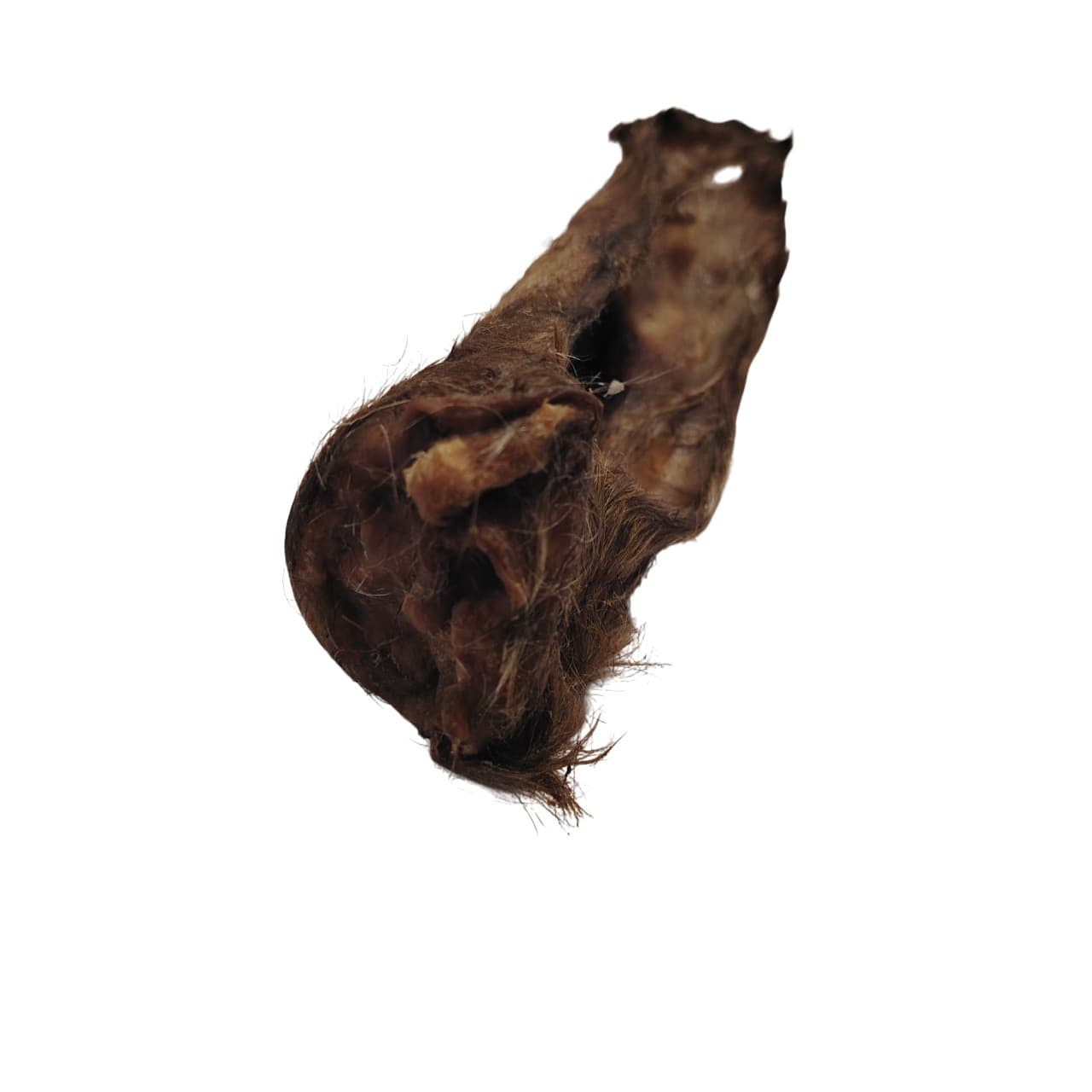 Oreille de chèvre Oreille de chèvre