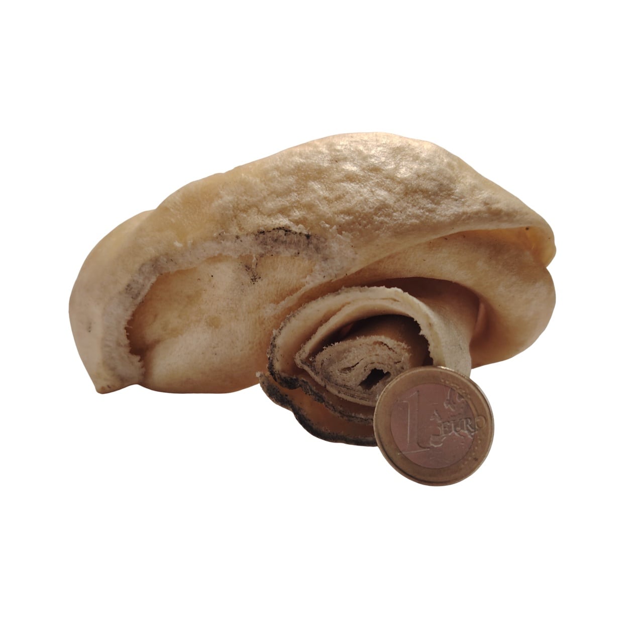 Donut en Peau d'Agneau