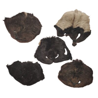 Museau d'Agneau Poilu