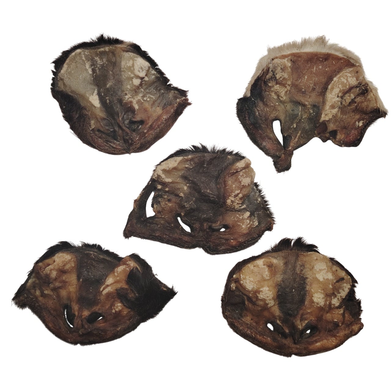 Museau d'Agneau Poilu Museau d'Agneau Poilu