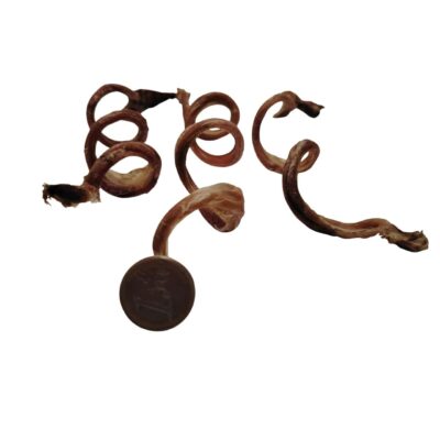 Nerf d'Agneau Bouclé