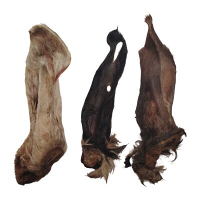 Oreilles d'Agneau Poilue