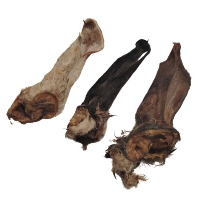 Oreilles d'Agneau Poilue