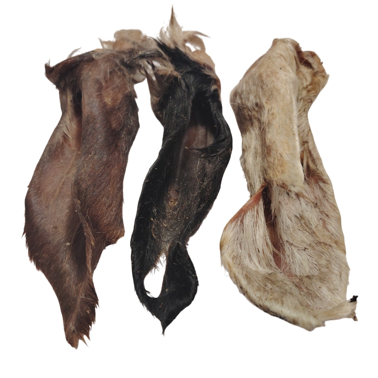 Oreilles d'Agneau Poilue