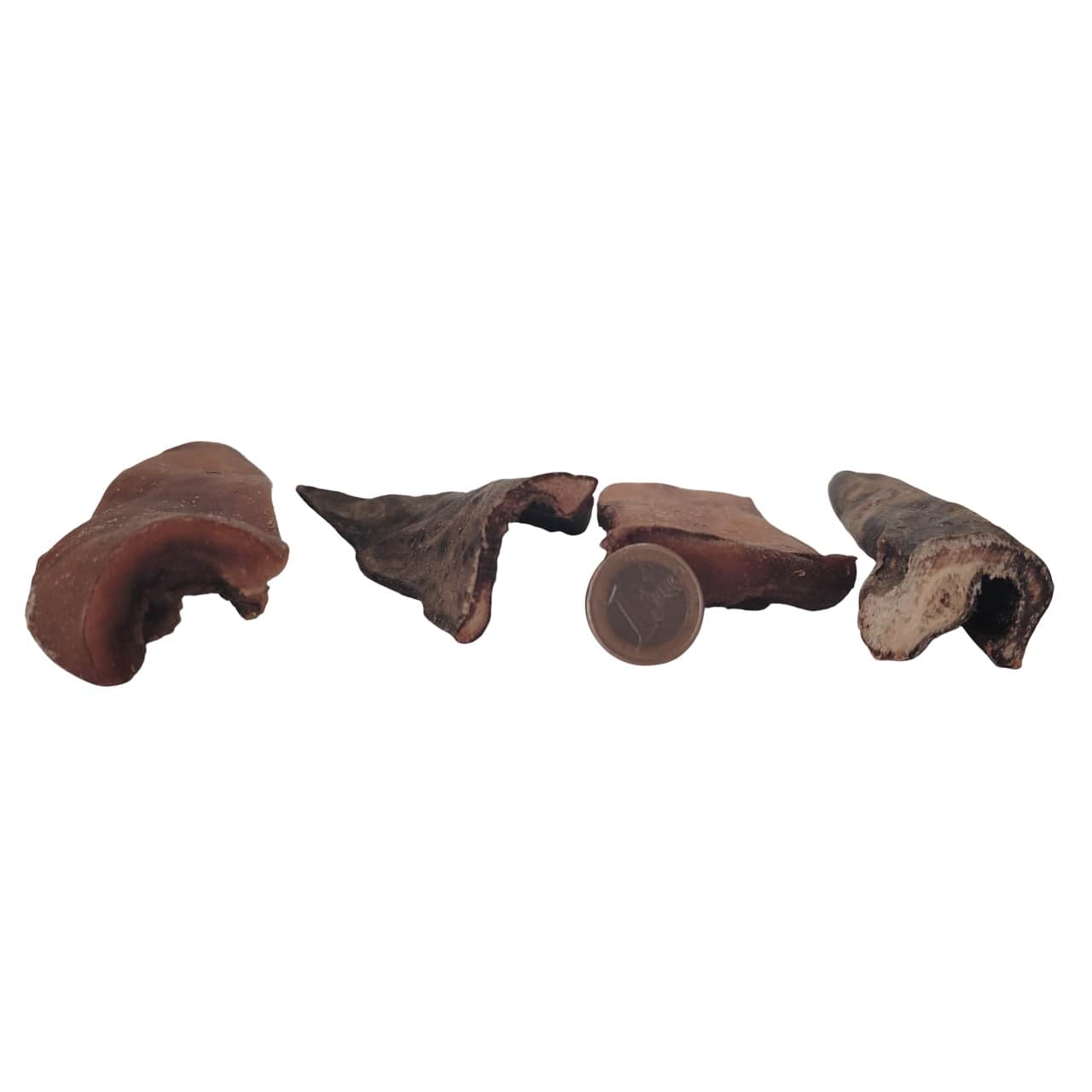 Peau de Chameau Peau de Chameau