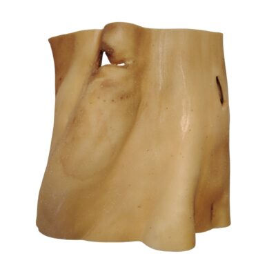 Plaque de Peau de Tête de Bœuf 20x20cm